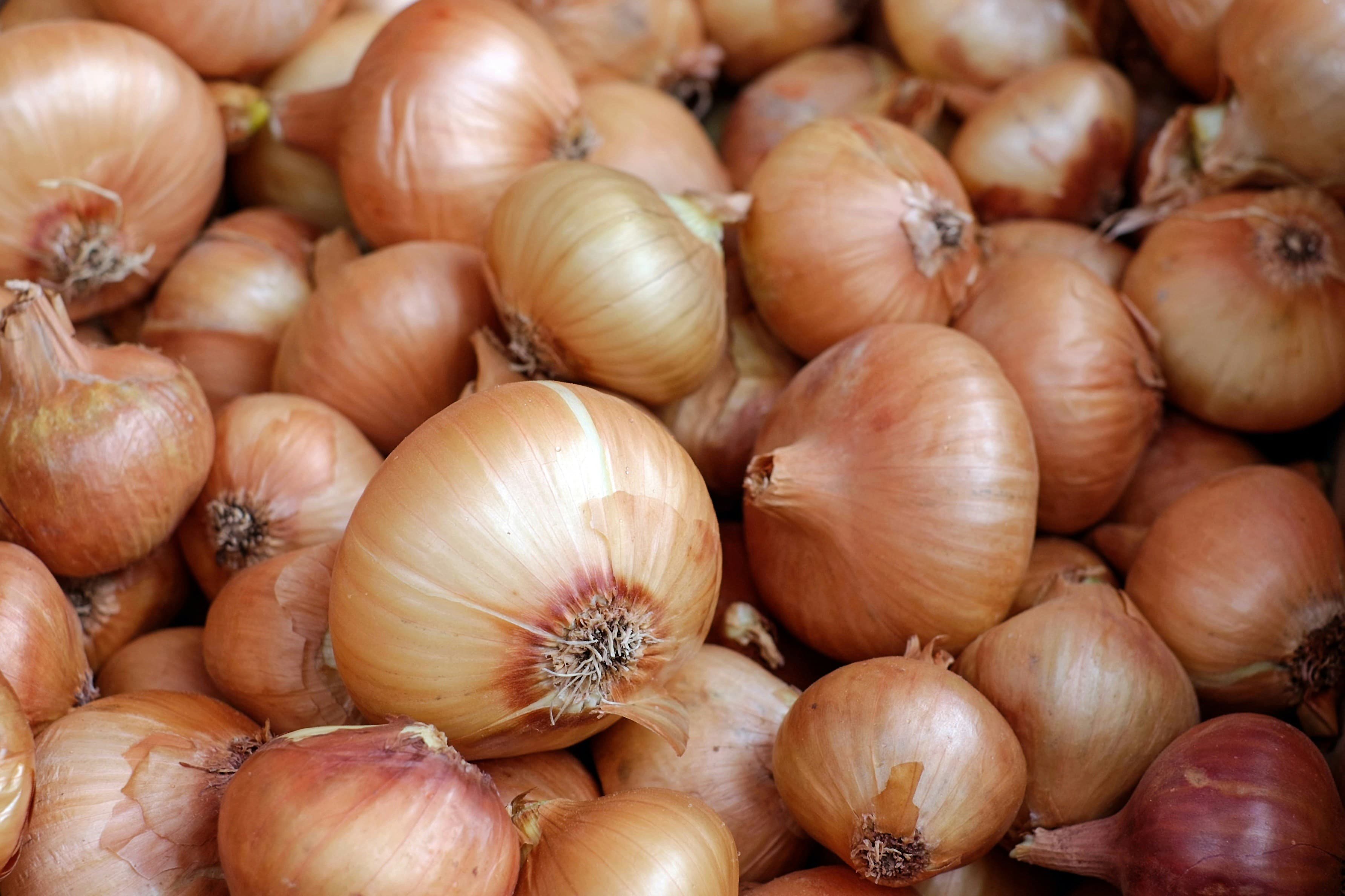 Red Onions