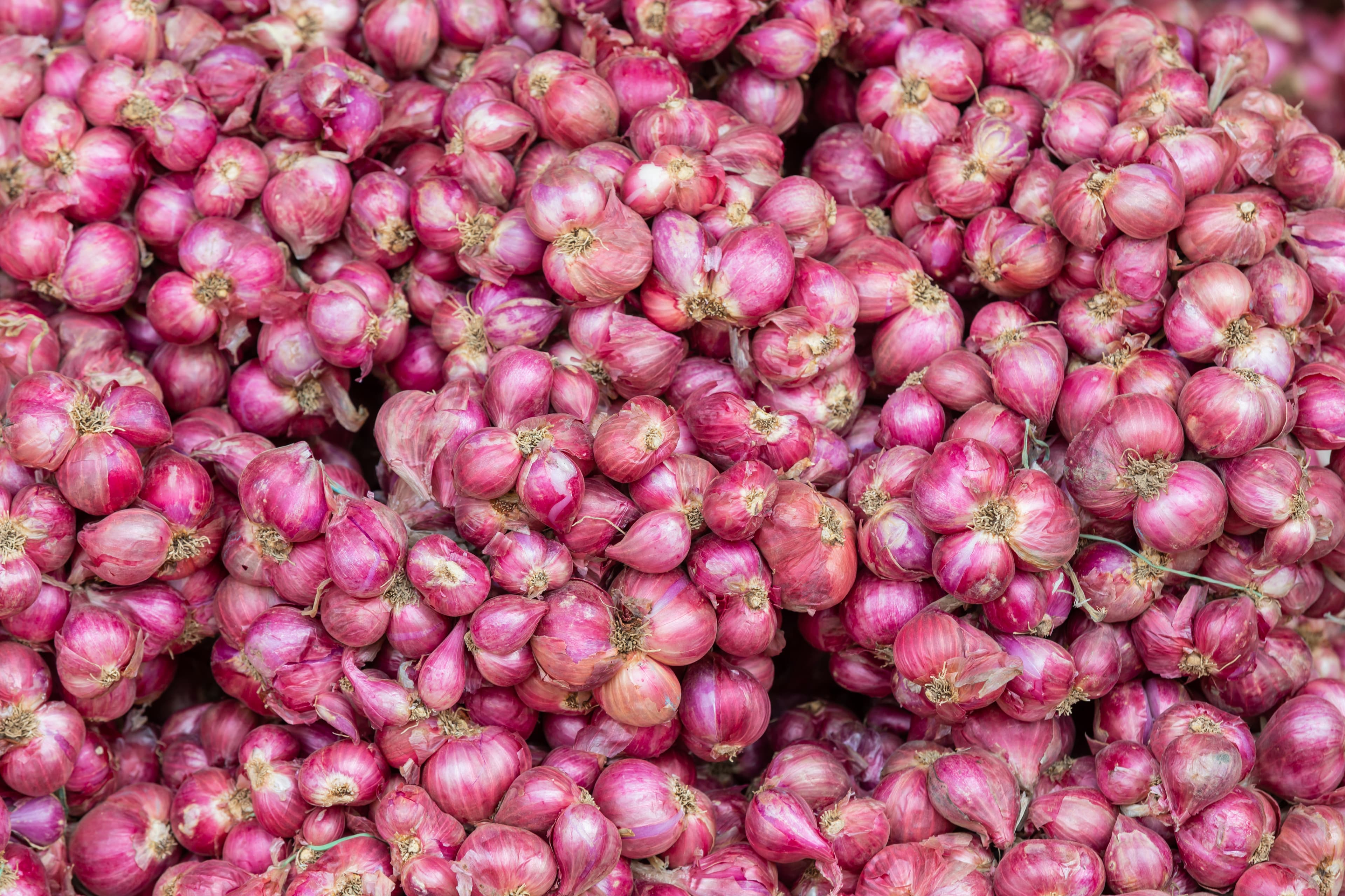 Pink Onions